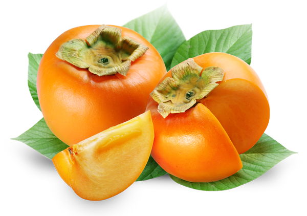 Persimmon Hd Png Hdpng.com 600 - Persimmon, Transparent background PNG HD thumbnail