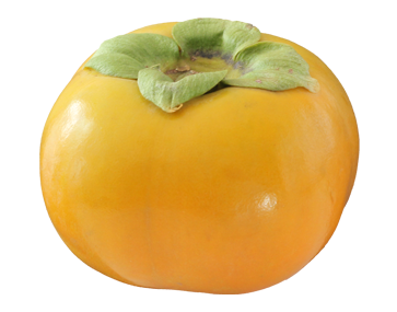 Persimmon Png Image - Persimmon, Transparent background PNG HD thumbnail