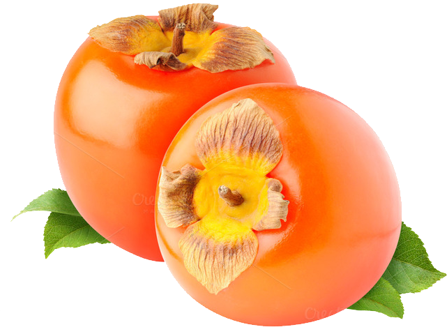 Persimmon Png Image - Persimmon, Transparent background PNG HD thumbnail