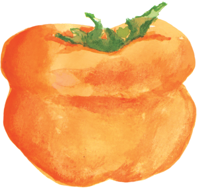File:柿子Persimmon.png - Persimmon, Transparent background PNG HD thumbnail