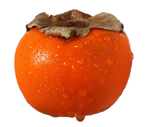 Persimmon Png Clipart - Persimmon, Transparent background PNG HD thumbnail