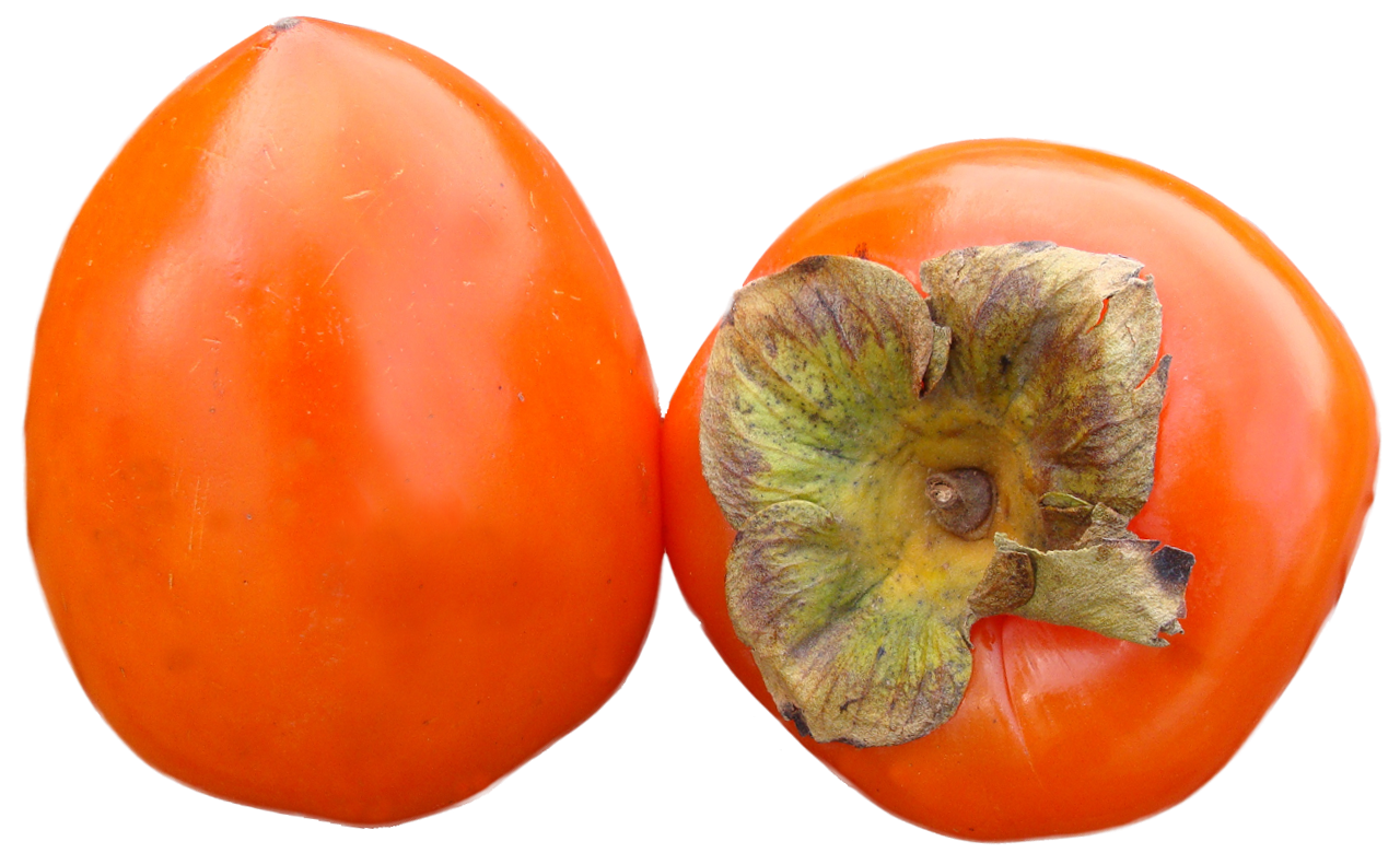 Persimmons Png Image - Persimmon, Transparent background PNG HD thumbnail