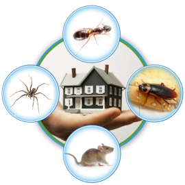 pest-control-effects.