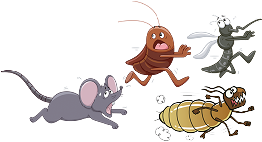 Img   Pest Png - Pest Control, Transparent background PNG HD thumbnail