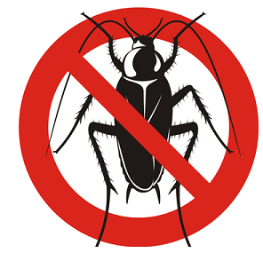 Pest Control - Pest, Transparent background PNG HD thumbnail