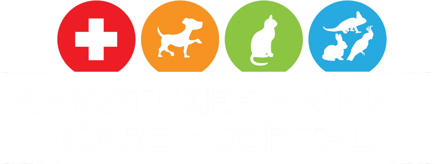 Ahwatukee Animal Care Hospital And Pet Resort Phoenix, Az   Pet Care And Education - Pet Care, Transparent background PNG HD thumbnail