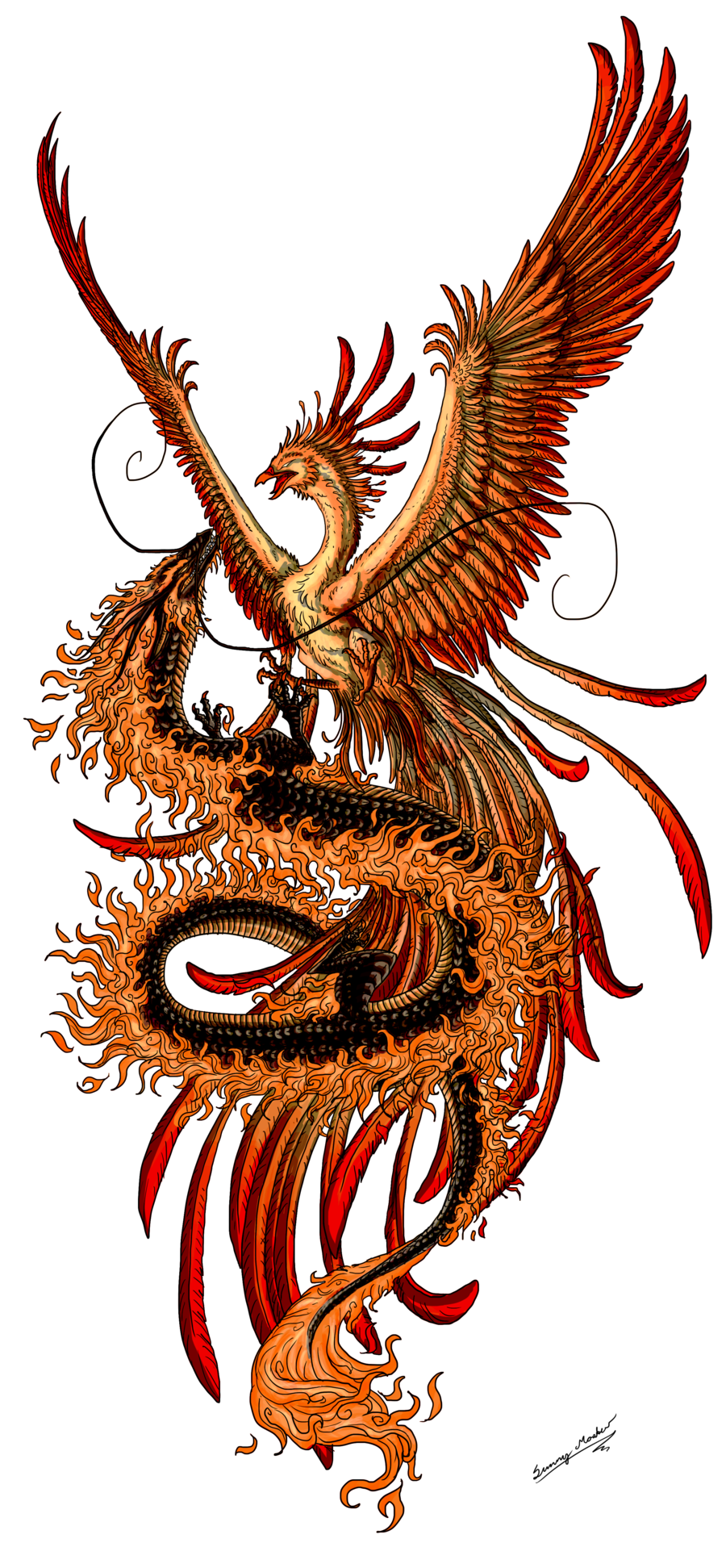 Phoenix And Dragon By Sunimo.deviantart Pluspng.com - Phoenix Tattoos, Transparent background PNG HD thumbnail