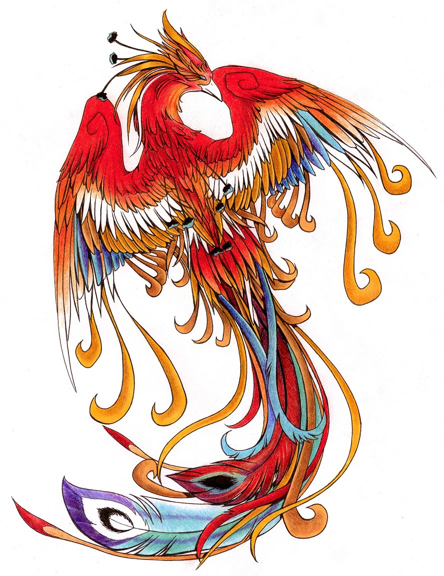 Phoenix Tattoos - Phoenix Tattoos, Transparent background PNG HD thumbnail