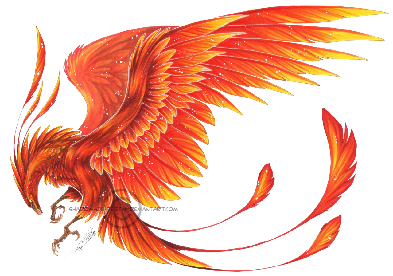 300px-Rising Phoenix Flag2.pn