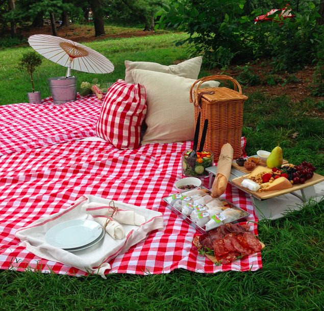 The Gold Picnic - Picnic At The Park, Transparent background PNG HD thumbnail