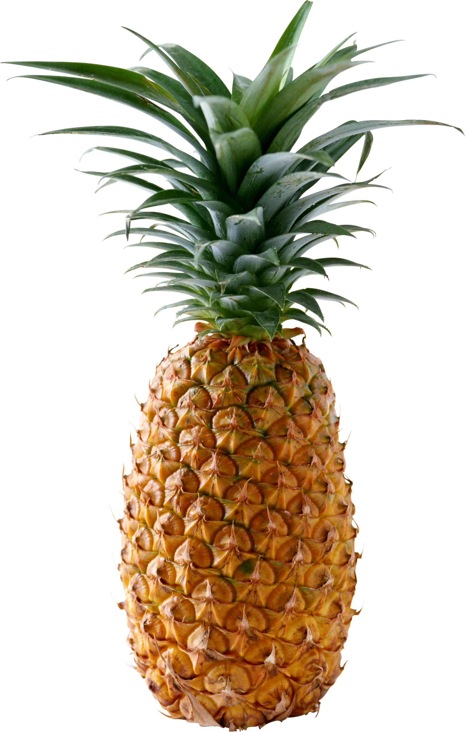 Download - Pineapple, Transparent background PNG HD thumbnail