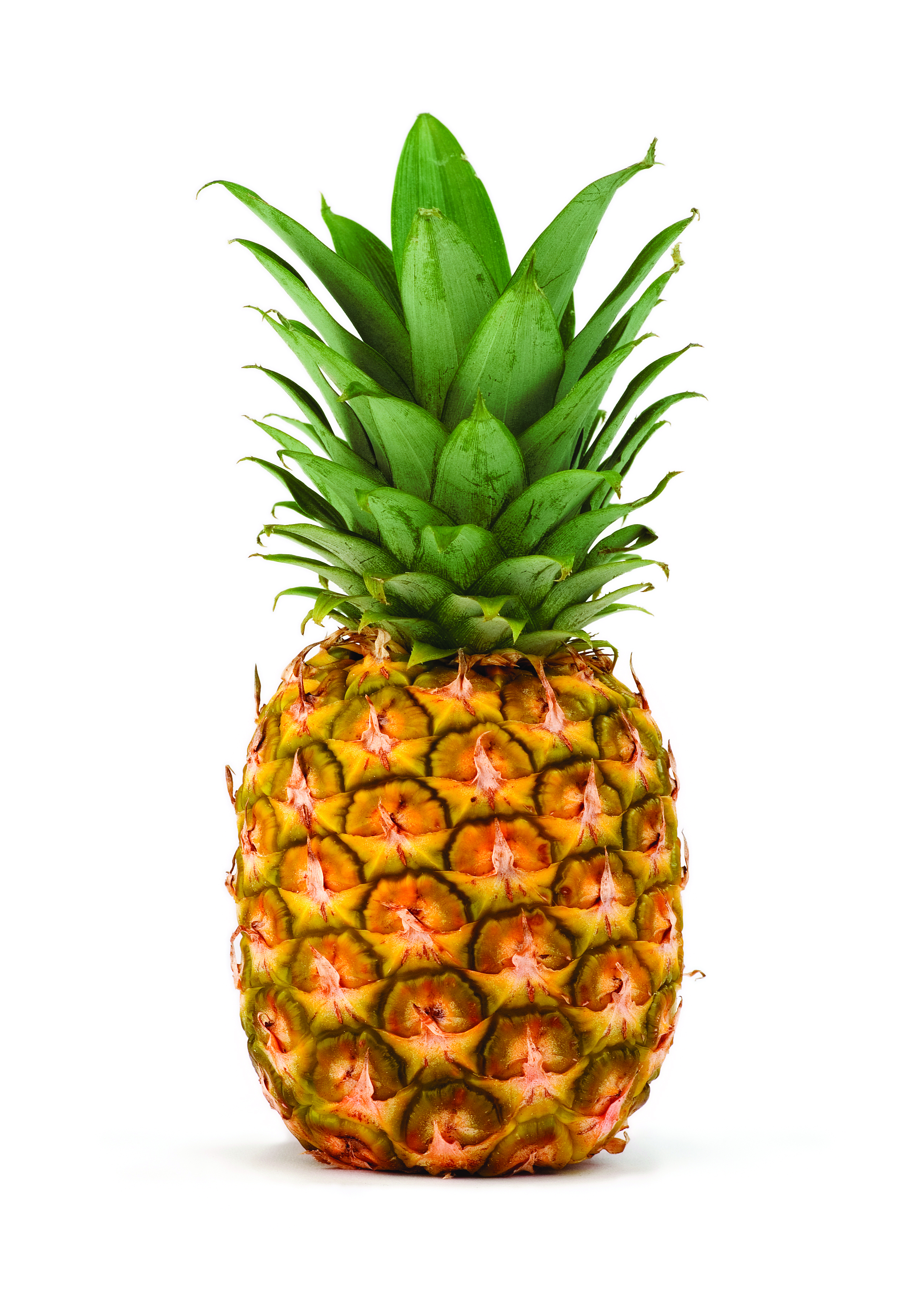 Pineapple Image - Pineapple, Transparent background PNG HD thumbnail