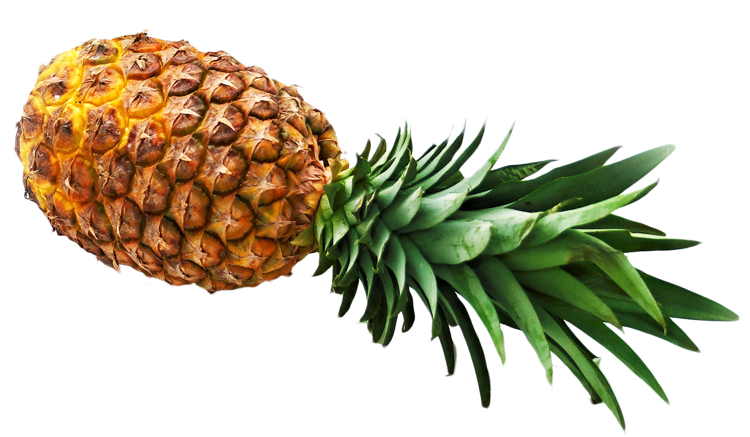 Pineapple Png Image - Pineapple, Transparent background PNG HD thumbnail