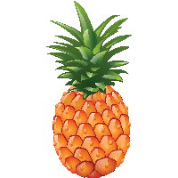 Pineapple Png Image Download Png Image - Pineapple, Transparent background PNG HD thumbnail