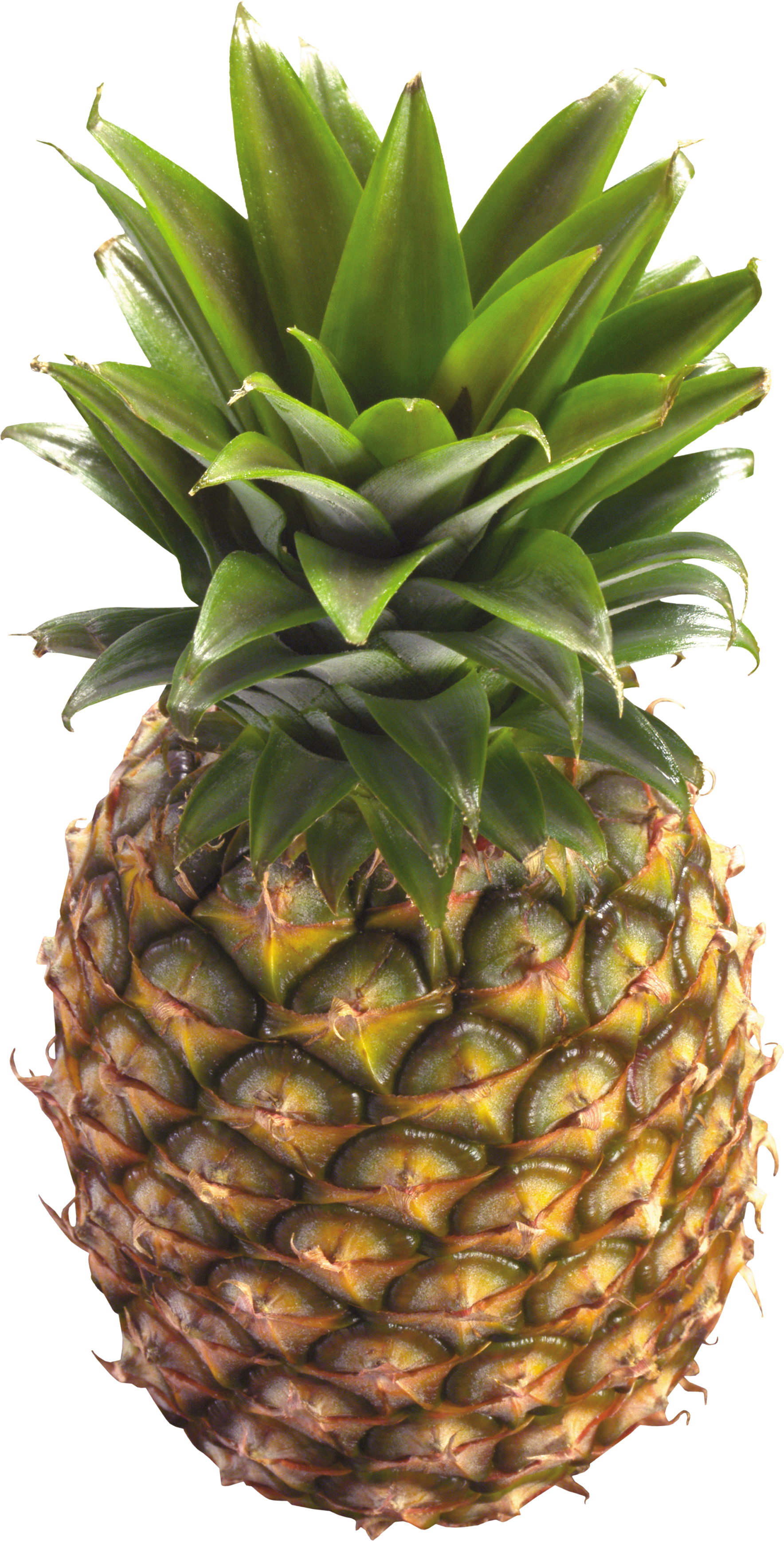 Pineapple Png Image, Free Download - Pineapple, Transparent background PNG HD thumbnail