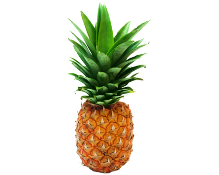 Transparent Pineapple Png - Pineapple, Transparent background PNG HD thumbnail