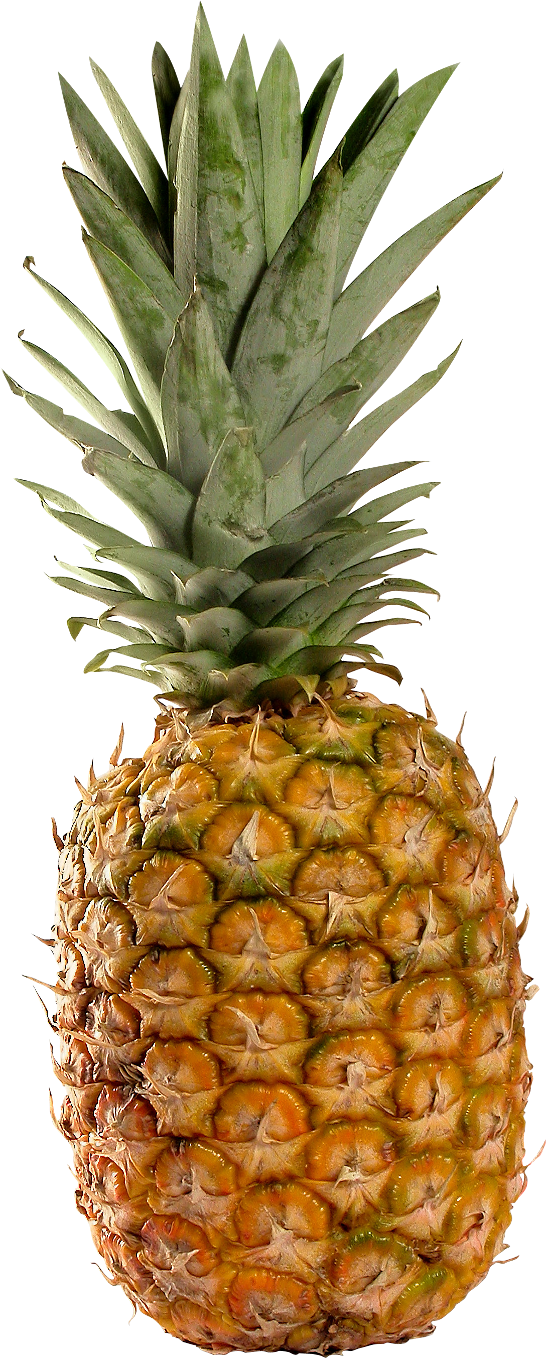 Pineapple PNG image