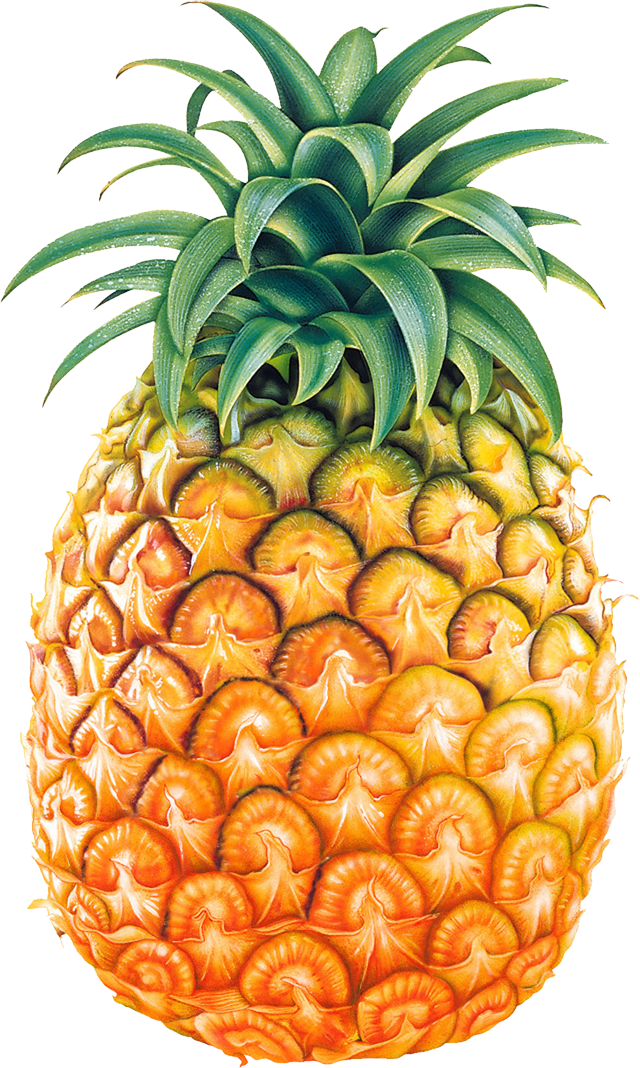 Pineapple PNG image, free dow