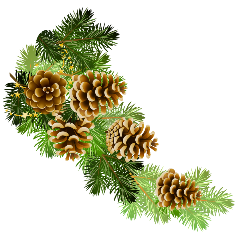 Pine And Pine Cones Branch Border Clip Art - Pinecone, Transparent background PNG HD thumbnail