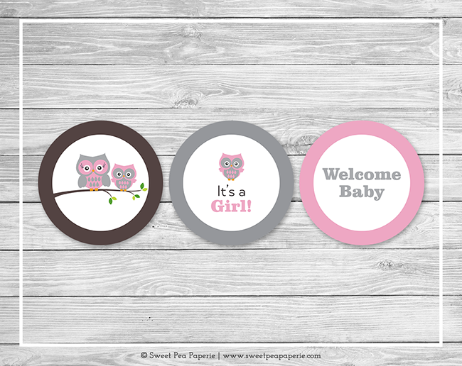 Look Whooooo Just Added A Cute New Owl Themed Baby Shower Collection To The Shop! Your Baby Shower Is Sure To Be A Hoot With This Adorable Pink And Gray Owl Hdpng.com  - Pink And Gray Owl, Transparent background PNG HD thumbnail