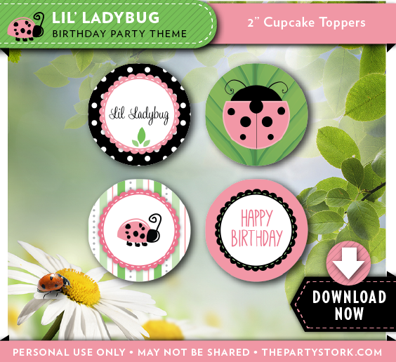 Pink Ladybug Birthday Party Cupcake Toppers - Pink And Green Ladybug, Transparent background PNG HD thumbnail