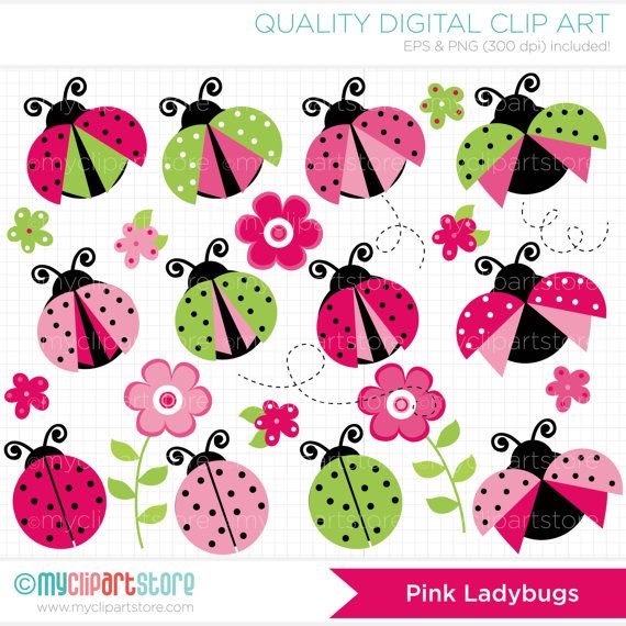 Pink Ladybugs Clip Art / Digital Clipart   Instant Download - Pink And Green Ladybug, Transparent background PNG HD thumbnail