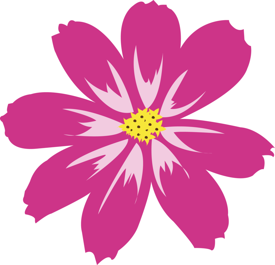 Aster Png Hd - Pink Daisy, Transparent background PNG HD thumbnail