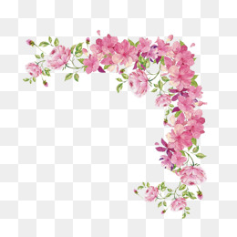 Pink Flowers, Pink Flowers, Flowers, Leaves Png Image - Pink Flower, Transparent background PNG HD thumbnail