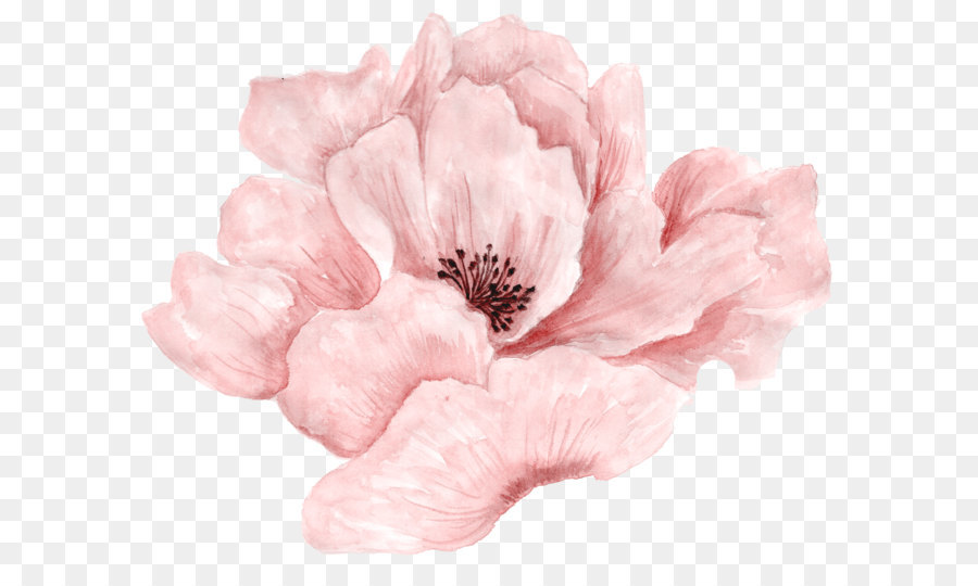 Pink Flowers Pink Flowers Watercolor Painting   Beautiful Pink Flowers In Full Bloom - Pink Flower, Transparent background PNG HD thumbnail