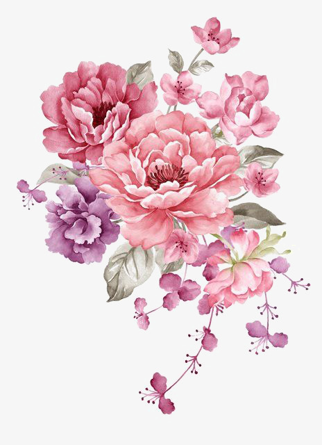 Pink Ink Flowers, Flowers Material, Watercolor Flowers, Pink Flowers Png Image - Pink Flower, Transparent background PNG HD thumbnail