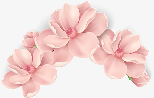 Vector Hand Painted Pink Flowers, Vector, Hand Painted, Blooming Flowers Free Png And Vector - Pink Flower, Transparent background PNG HD thumbnail