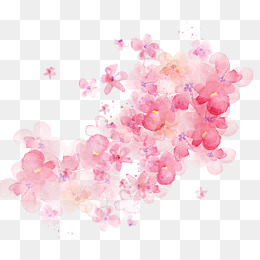 Watercolor Flowers Shading, Pink Flowers, Watercolor,  Painted Material Png And Psd - Pink Flower, Transparent background PNG HD thumbnail