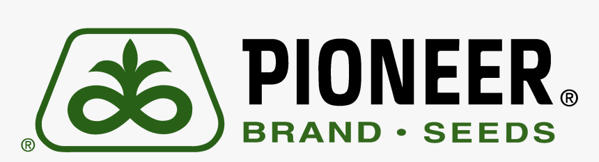 Pioneer Logo Corn   Pioneer Seed Logo Png, Transparent Png   Kindpng - Pioneer, Transparent background PNG HD thumbnail