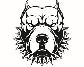 American Pit Bull #7 Terrier Dog Breed K 9 Puppy Mean Spiked Collar Guard - Pitbull, Transparent background PNG HD thumbnail