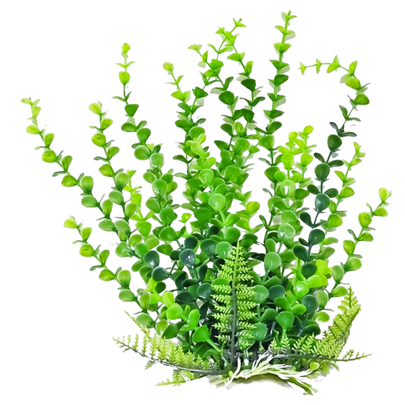 plant png 12 by DIGITALWIDERE