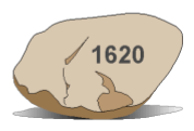 Plymouth Rock Picture