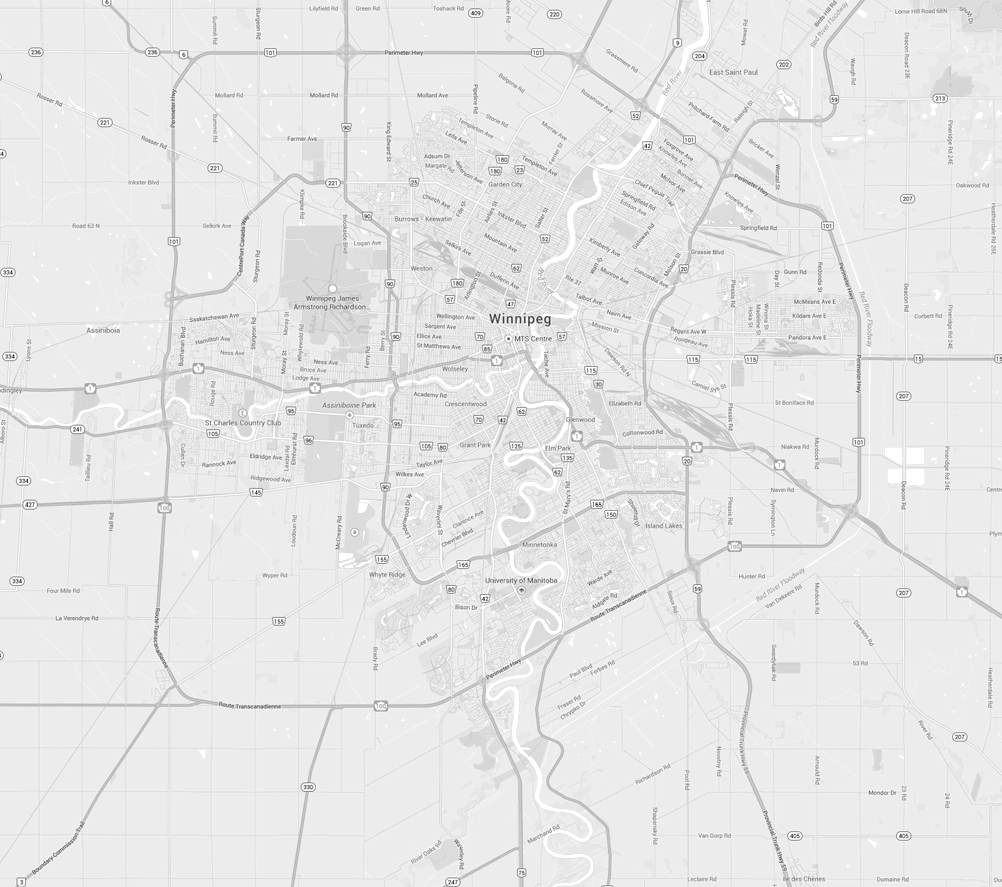 Black and white vector city m