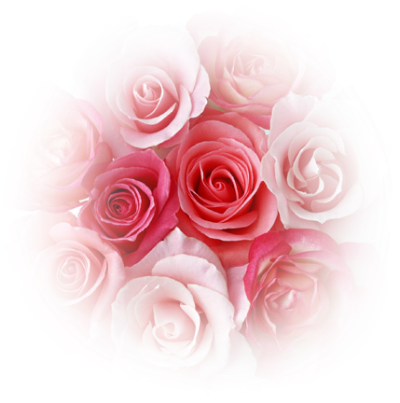 Coeur De Roses Rouge Et Rose - Coeur Rose, Transparent background PNG HD thumbnail