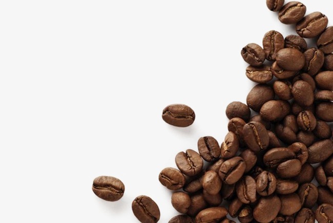 Black Beans, Coffee, Coffee Beans, Kuroko Beans Png Image And Clipart - Coffee Beans, Transparent background PNG HD thumbnail