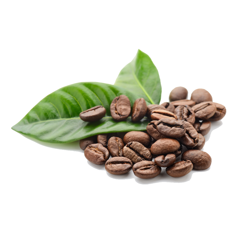 Png Coffee Beans - Coffee Beans Free Png Image Png Image, Transparent background PNG HD thumbnail