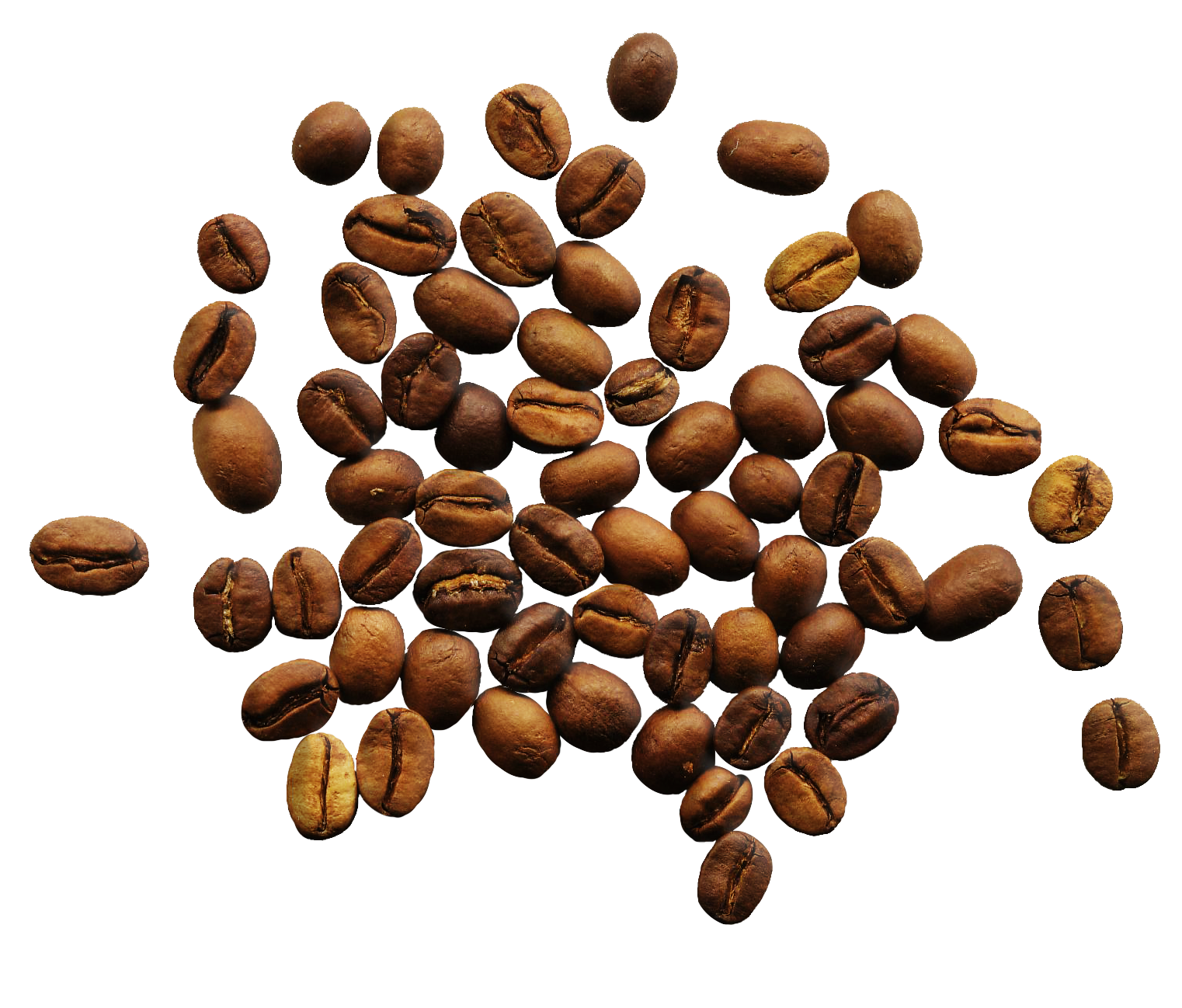 Png Coffee Beans - Coffee Beans Transparent Png Sticker. Coffee Hdpng.com , Transparent background PNG HD thumbnail
