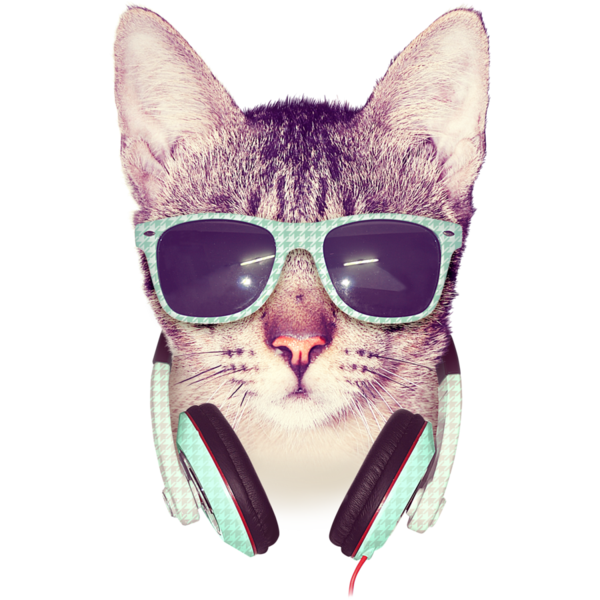 Cool Cat Shirts By Design By Humans Hdpng.com  - Cool, Transparent background PNG HD thumbnail