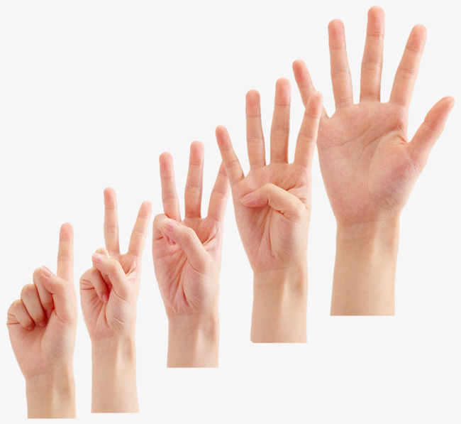 Hand Index Number, Finger, Counting, Count Png And Psd - Counting, Transparent background PNG HD thumbnail