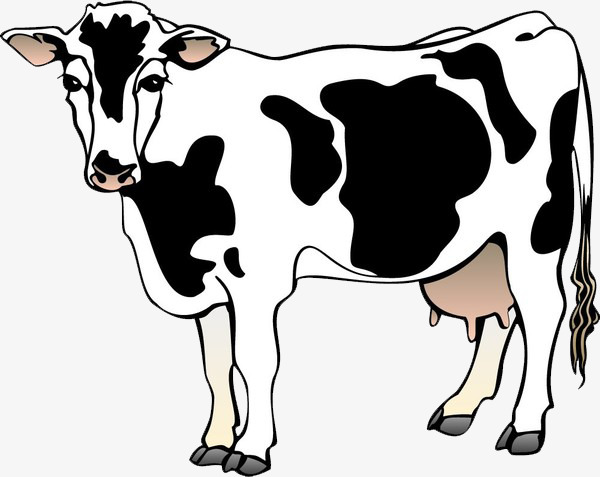 A Cow, Hand Painted, Black And White, Material Free Png Image - Cow Black And White, Transparent background PNG HD thumbnail