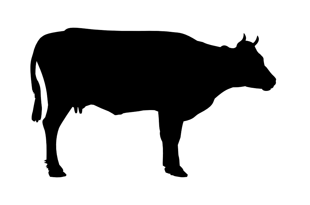 Black Cow Png Siluete Png Image - Cow Black And White, Transparent background PNG HD thumbnail