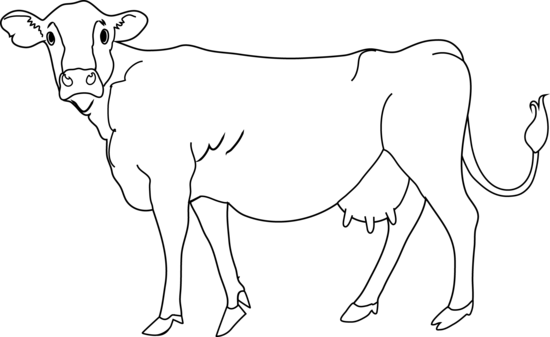 Cow Clipart Clipart Clipartcow - Cow Black And White, Transparent background PNG HD thumbnail