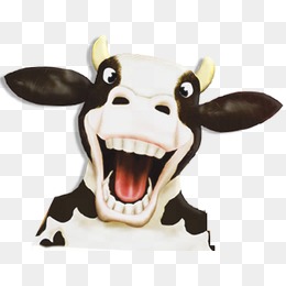 Cows, Cartoon, Cows Png And Psd - Cow Head, Transparent background PNG HD thumbnail