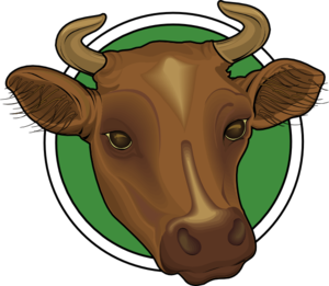 Mounted Cow Head Png Images 300 X 261 Px - Cow Head, Transparent background PNG HD thumbnail