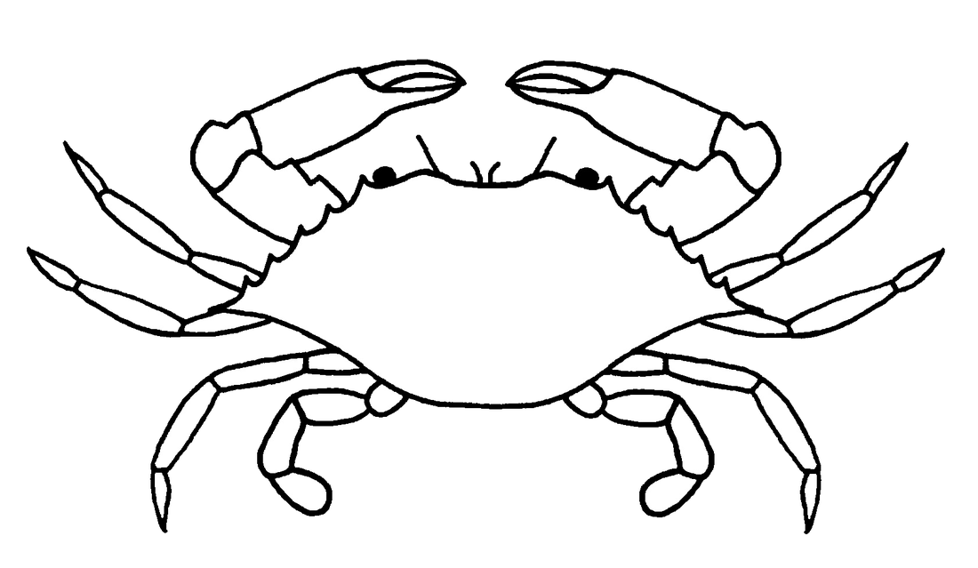 Png Crab Black And White - Blue Crab (Callinectes Sapidus), Transparent background PNG HD thumbnail