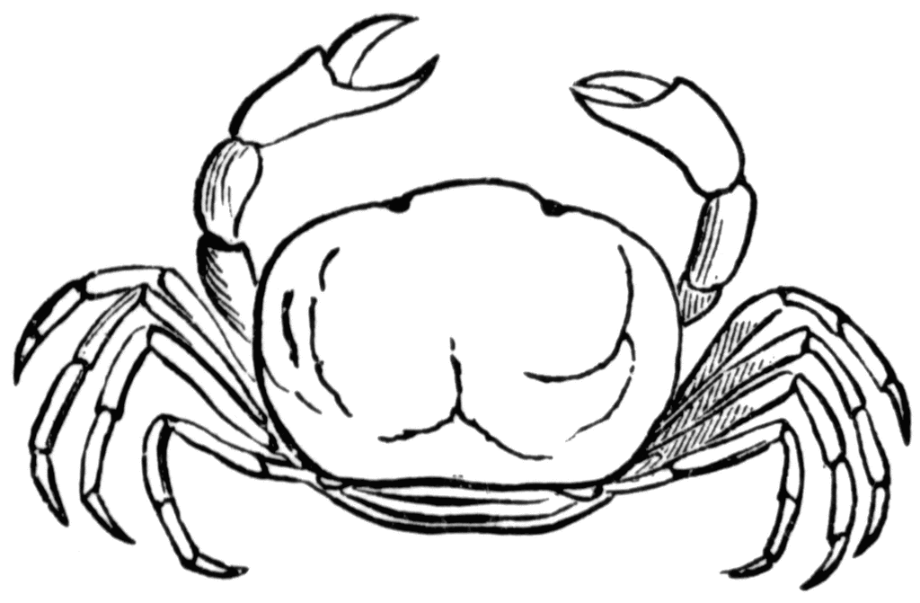 Png Crab Black And White - Crab Black And White Clipart, Transparent background PNG HD thumbnail